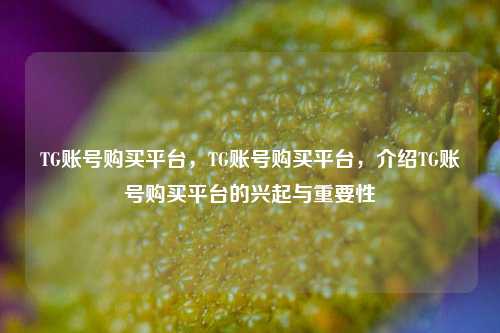 TG账号购买平台，TG账号购买平台，介绍TG账号购买平台的兴起与重要性