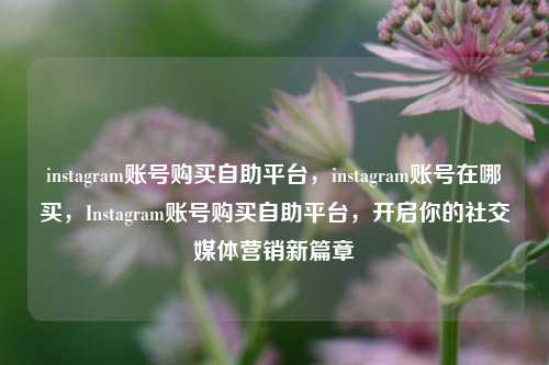 instagram账号购买自助平台，instagram账号在哪买，Instagram账号购买自助平台，开启你的社交媒体营销新篇章