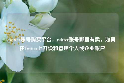 twitter账号购买平台，twitter账号哪里有卖，如何在Twitter上开设和管理个人或企业账户