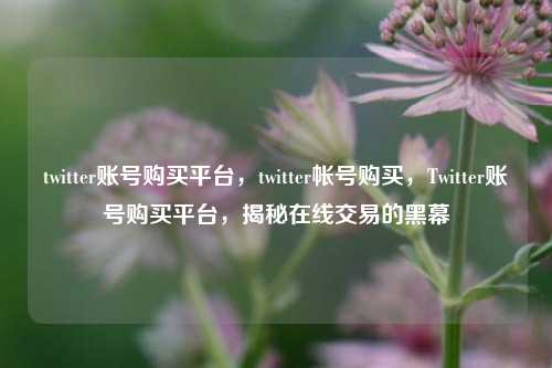 twitter账号购买平台，twitter帐号购买，Twitter账号购买平台，揭秘在线交易的黑幕