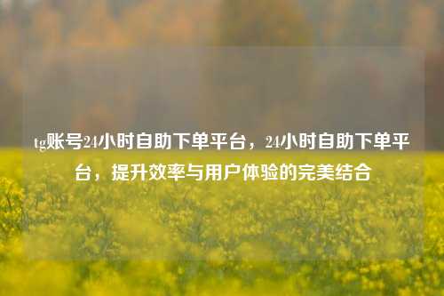 tg账号24小时自助下单平台，24小时自助下单平台，提升效率与用户体验的完美结合