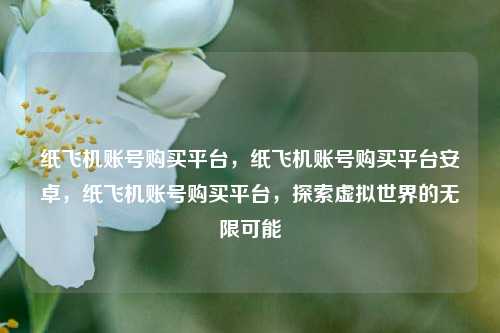 纸飞机账号购买平台，纸飞机账号购买平台安卓，纸飞机账号购买平台，探索虚拟世界的无限可能