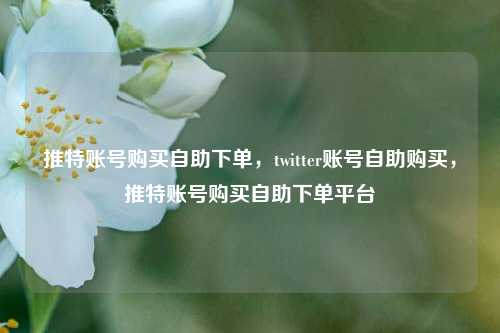 推特账号购买自助下单，twitter账号自助购买，推特账号购买自助下单平台