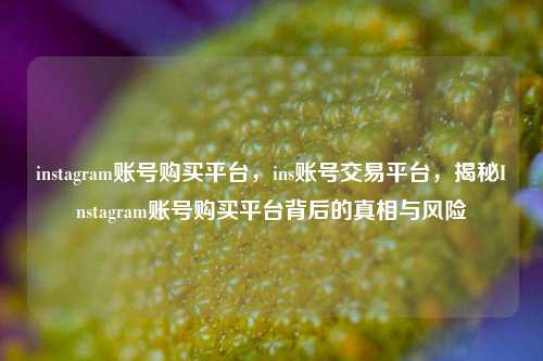 instagram账号购买平台，ins账号交易平台，揭秘Instagram账号购买平台背后的真相与风险