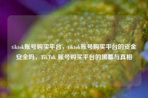 tiktok账号购买平台，tiktok账号购买平台的资金安全吗，TikTok 账号购买平台的黑幕与真相