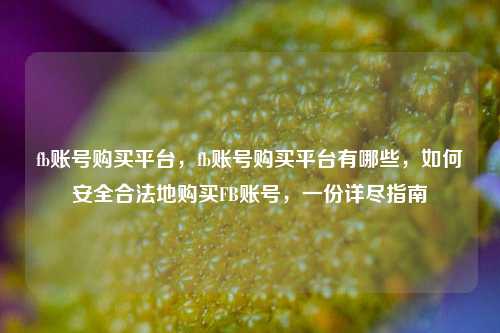 fb账号购买平台，fb账号购买平台有哪些，如何安全合法地购买FB账号，一份详尽指南