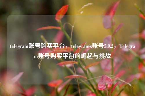 telegram账号购买平台，telegramx账号5.0.2，Telegram账号购买平台的崛起与挑战