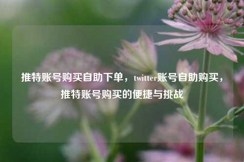推特账号购买自助下单，twitter账号自助购买，推特账号购买的便捷与挑战