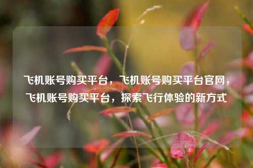 飞机账号购买平台，飞机账号购买平台官网，飞机账号购买平台，探索飞行体验的新方式