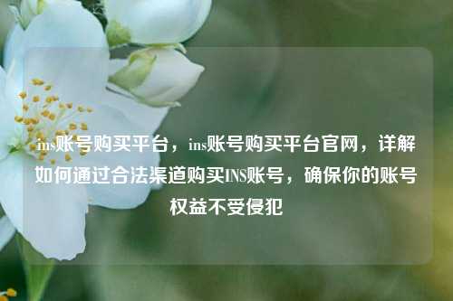 ins账号购买平台，ins账号购买平台官网，详解如何通过合法渠道购买INS账号，确保你的账号权益不受侵犯