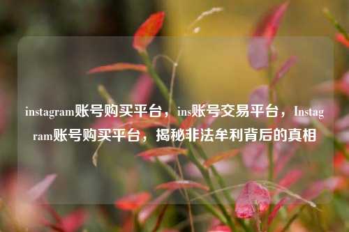 instagram账号购买平台，ins账号交易平台，Instagram账号购买平台，揭秘非法牟利背后的真相