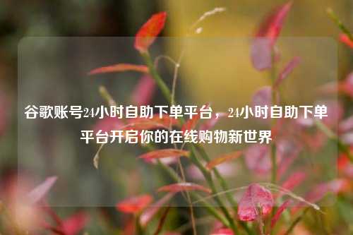 谷歌账号24小时自助下单平台，24小时自助下单平台开启你的在线购物新世界