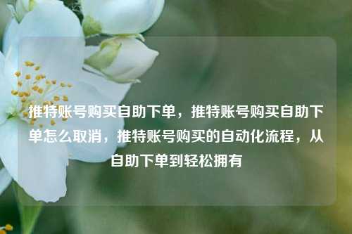 推特账号购买自助下单，推特账号购买自助下单怎么取消，推特账号购买的自动化流程，从自助下单到轻松拥有