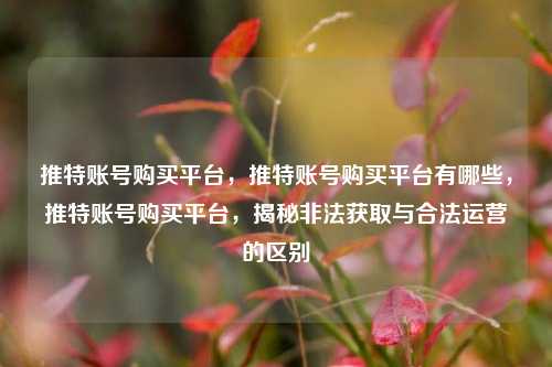 推特账号购买平台，推特账号购买平台有哪些，推特账号购买平台，揭秘非法获取与合法运营的区别