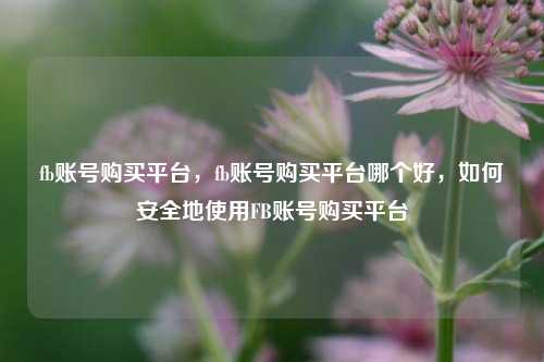 fb账号购买平台，fb账号购买平台哪个好，如何安全地使用FB账号购买平台