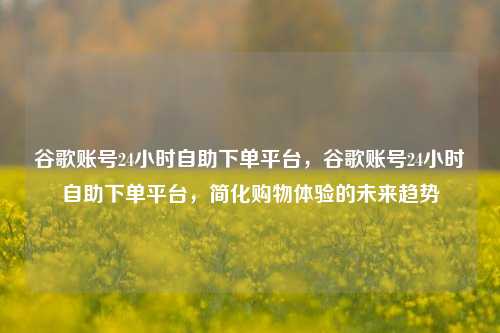 谷歌账号24小时自助下单平台，谷歌账号24小时自助下单平台，简化购物体验的未来趋势  第1张