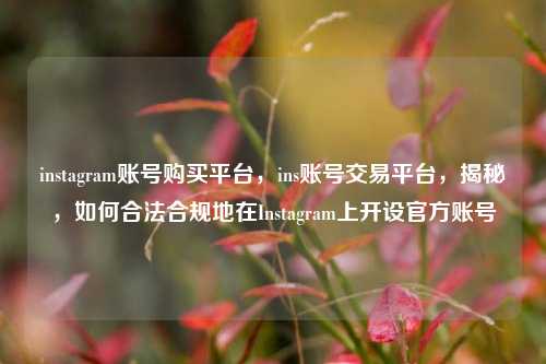 instagram账号购买平台，ins账号交易平台，揭秘，如何合法合规地在Instagram上开设官方账号