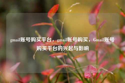 gmail账号购买平台，gmail帐号购买，Gmail账号购买平台的兴起与影响