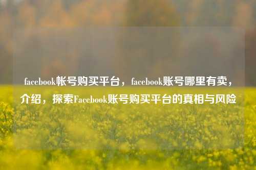 facebook帐号购买平台，facebook账号哪里有卖，介绍，探索Facebook账号购买平台的真相与风险