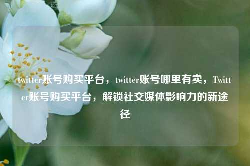 twitter账号购买平台，twitter账号哪里有卖，Twitter账号购买平台，解锁社交媒体影响力的新途径