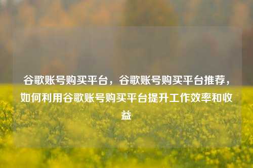 谷歌账号购买平台，谷歌账号购买平台推荐，如何利用谷歌账号购买平台提升工作效率和收益