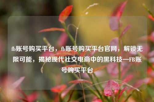 fb账号购买平台，fb账号购买平台官网，解锁无限可能，揭秘现代社交电商中的黑科技—FB账号购买平台