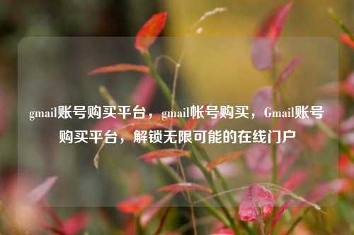 gmail账号购买平台，gmail帐号购买，Gmail账号购买平台，解锁无限可能的在线门户