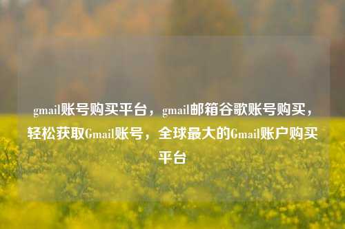 gmail账号购买平台，gmail邮箱谷歌账号购买，轻松获取Gmail账号，全球最大的Gmail账户购买平台  第1张