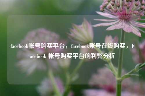 facebook帐号购买平台，facebook账号在线购买，Facebook 帐号购买平台的利弊分析