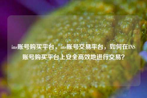 ins账号购买平台，ins账号交易平台，如何在INS账号购买平台上安全高效地进行交易？