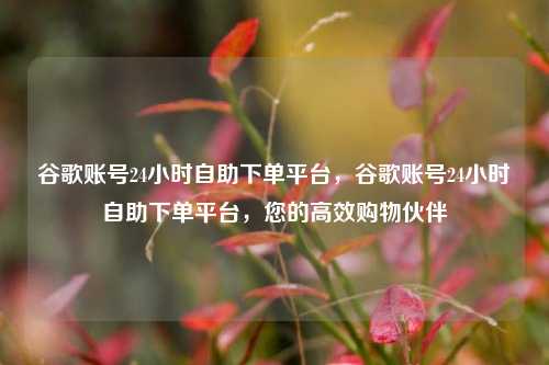 谷歌账号24小时自助下单平台，谷歌账号24小时自助下单平台，您的高效购物伙伴
