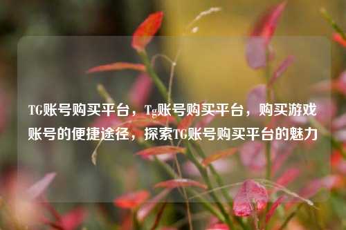 TG账号购买平台，Tg账号购买平台，购买游戏账号的便捷途径，探索TG账号购买平台的魅力