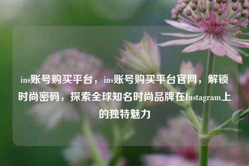 ins账号购买平台，ins账号购买平台官网，解锁时尚密码，探索全球知名时尚品牌在Instagram上的独特魅力