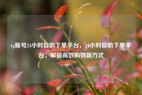 tg账号24小时自助下单平台，24小时自助下单平台	，解锁高效购物新方式  第1张