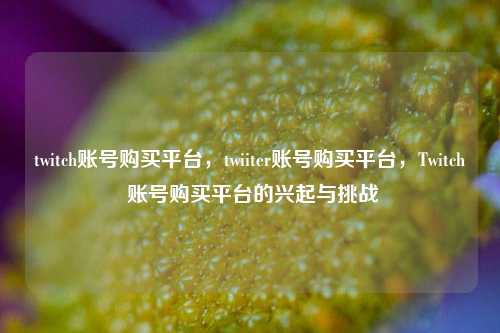 twitch账号购买平台，twiiter账号购买平台，Twitch 账号购买平台的兴起与挑战