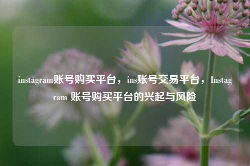 instagram账号购买平台，ins账号交易平台，Instagram 账号购买平台的兴起与风险  第1张