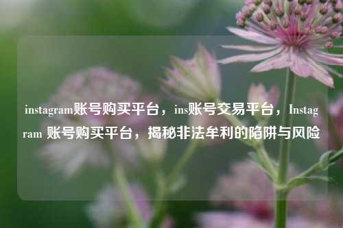 instagram账号购买平台，ins账号交易平台，Instagram 账号购买平台，揭秘非法牟利的陷阱与风险