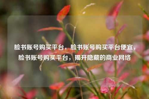 脸书账号购买平台，脸书账号购买平台便宜，脸书账号购买平台，揭开隐藏的商业网络