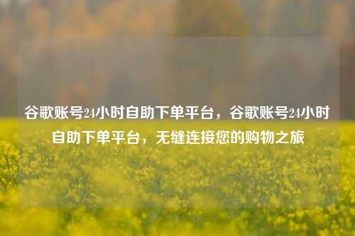 谷歌账号24小时自助下单平台，谷歌账号24小时自助下单平台，无缝连接您的购物之旅