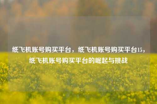 纸飞机账号购买平台，纸飞机账号购买平台15，纸飞机账号购买平台的崛起与挑战