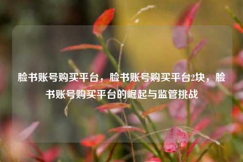 脸书账号购买平台	，脸书账号购买平台2块，脸书账号购买平台的崛起与监管挑战  第1张