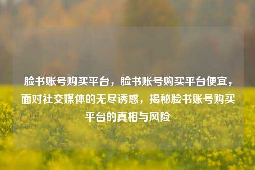 脸书账号购买平台，脸书账号购买平台便宜，面对社交媒体的无尽诱惑，揭秘脸书账号购买平台的真相与风险