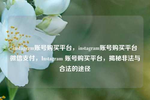 instagram账号购买平台，instagram账号购买平台微信支付，Instagram 账号购买平台，揭秘非法与合法的途径
