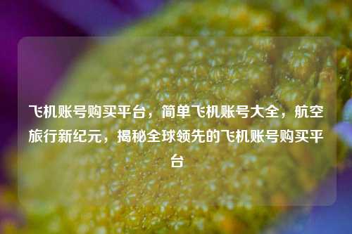 飞机账号购买平台，简单飞机账号大全，航空旅行新纪元，揭秘全球领先的飞机账号购买平台