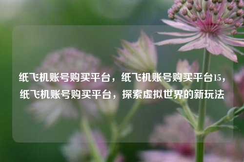 纸飞机账号购买平台，纸飞机账号购买平台15，纸飞机账号购买平台，探索虚拟世界的新玩法