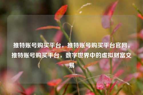 推特账号购买平台，推特账号购买平台官网，推特账号购买平台，数字世界中的虚拟财富交易