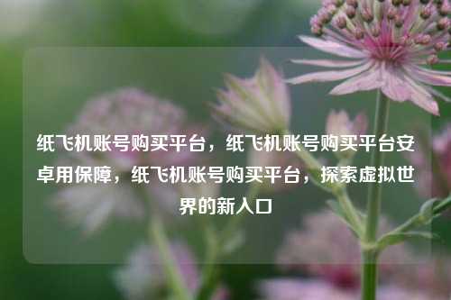 纸飞机账号购买平台，纸飞机账号购买平台安卓用保障，纸飞机账号购买平台，探索虚拟世界的新入口