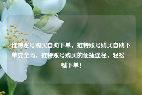 推特账号购买自助下单，推特账号购买自助下单安全吗，推特账号购买的便捷途径，轻松一键下单！