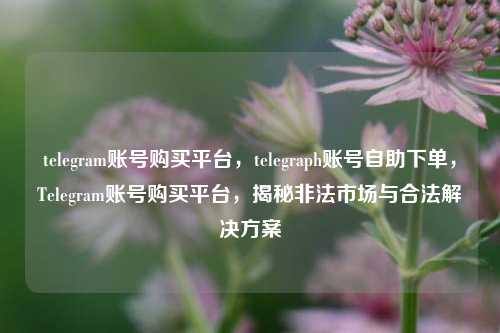 telegram账号购买平台，telegraph账号自助下单，Telegram账号购买平台，揭秘非法市场与合法解决方案