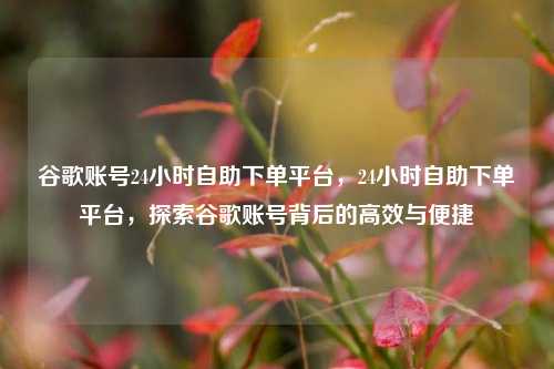 谷歌账号24小时自助下单平台，24小时自助下单平台，探索谷歌账号背后的高效与便捷